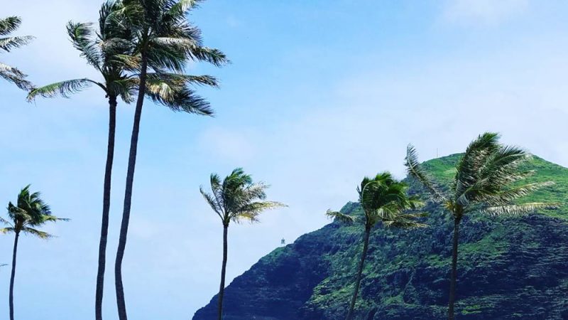 HAWAIIでキレイになる!リーズナブルに体験できる”美活”をご提案