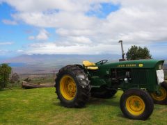 【マウイ島】ハレアカラ国立公園周辺の観光スポット