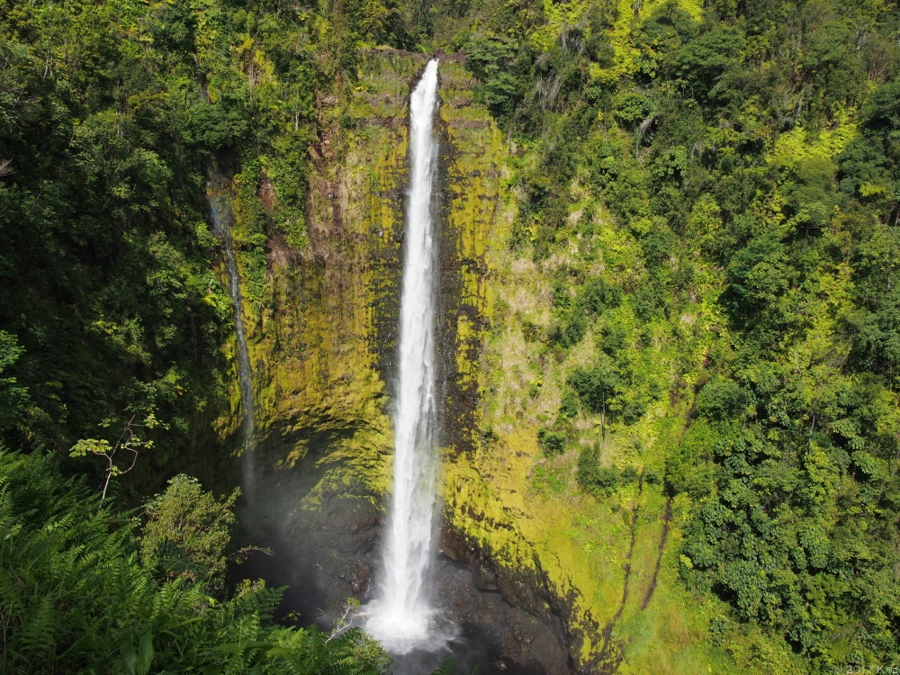 アカカ･フォールズ州立公園／Akaka Falls State Park