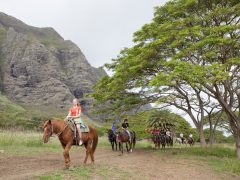 オアフ島の乗馬が楽しめるスポット4選