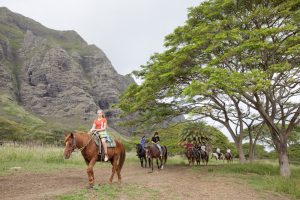 オアフ島の乗馬が楽しめるスポット4選