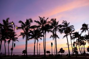 ワイキキ・ビーチ／Waikiki Beach