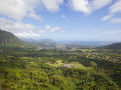 ハワイ初代国王「カメハメハ大王」ゆかりの観光スポット特集