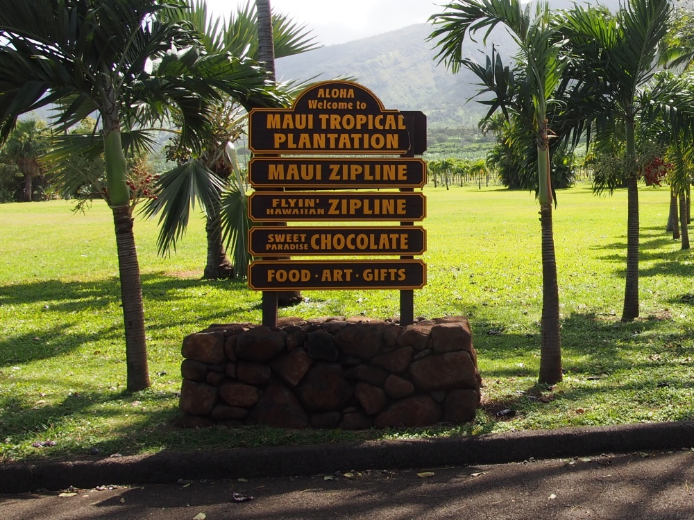 マウイ・ジップライン・カンパニー／Maui Zipline Company