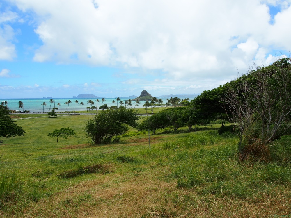 クアロア・ランチ／Kualoa Ranch