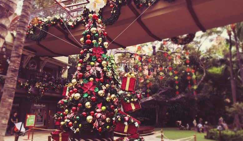 クリスマスシーズン限定！ワイキキでデコレーション散策はいかが？