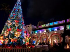 メレカリキマカ！ハワイのクリスマスとは？