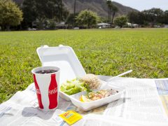 ロコ気分でプレートランチを楽しもう！ ワイキキで人気のお店6選