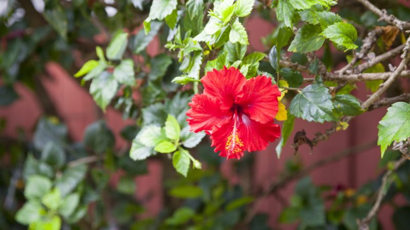 歴史的価値&自然が織りなす絶景に感動必至! 記憶に残る、風光明媚なウェディング会場