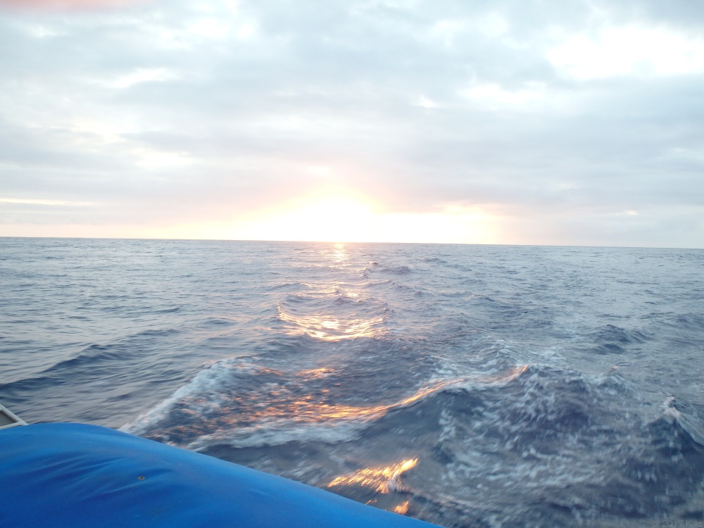 西オアフ・サンセットクルーズ／Sunset Cruise West Oahu