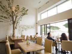 インスタ映え間違いなし！ハワイで紫色が珍しいウベ・パンケーキを食べよう♪