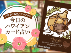 2018年3月24日のハワイアンカード占い