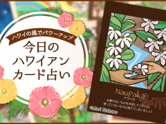 2018年3月26日のハワイアンカード占い