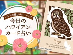 2018年3月19日のハワイアンカード占い