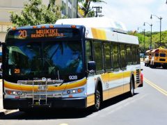 ハワイビギナーでも安心!The Busにのって観光スポットへ行ってみよう。