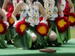 世界最高峰のフラ祭典が来月開幕!メリーモナークフェスティバルを予習しよう♪