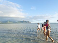 美しすぎる幻のビーチ！フォトジェニックな天国の海「サンドバー」