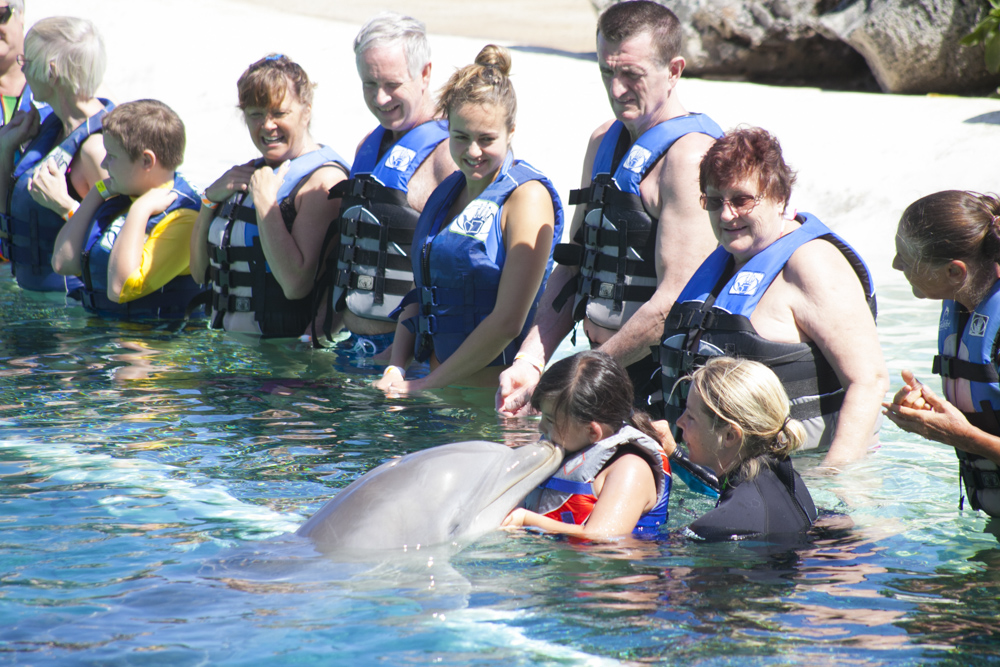 シーライフ・パーク／Sea Life Park Hawaii