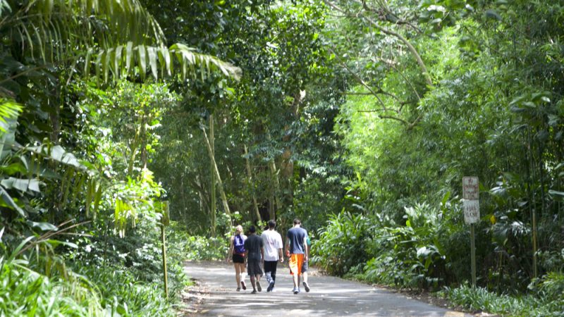 ゴールに絶景が!人気のオアフ島トレイルコース特集