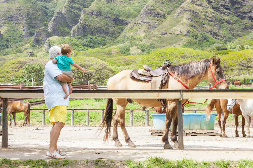 クアロア・ランチ／Kualoa Ranch