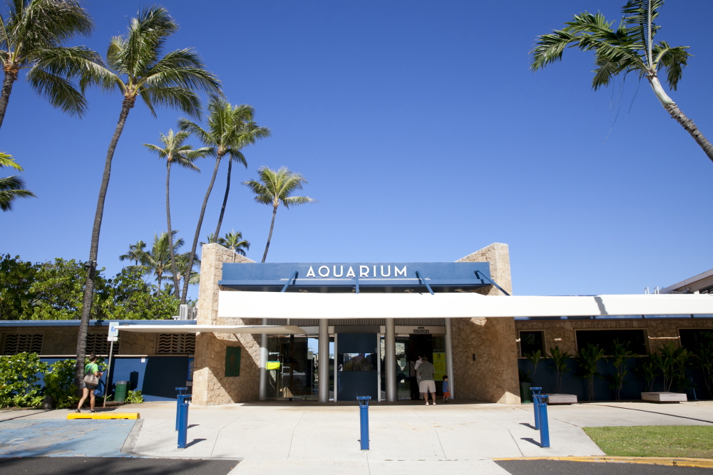 ワイキキ水族館／Waikiki Aquarium