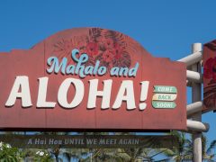 ハワイのおしゃれが手に入る。アンテナショップ「ALOHA1246」が自由が丘にオープン！