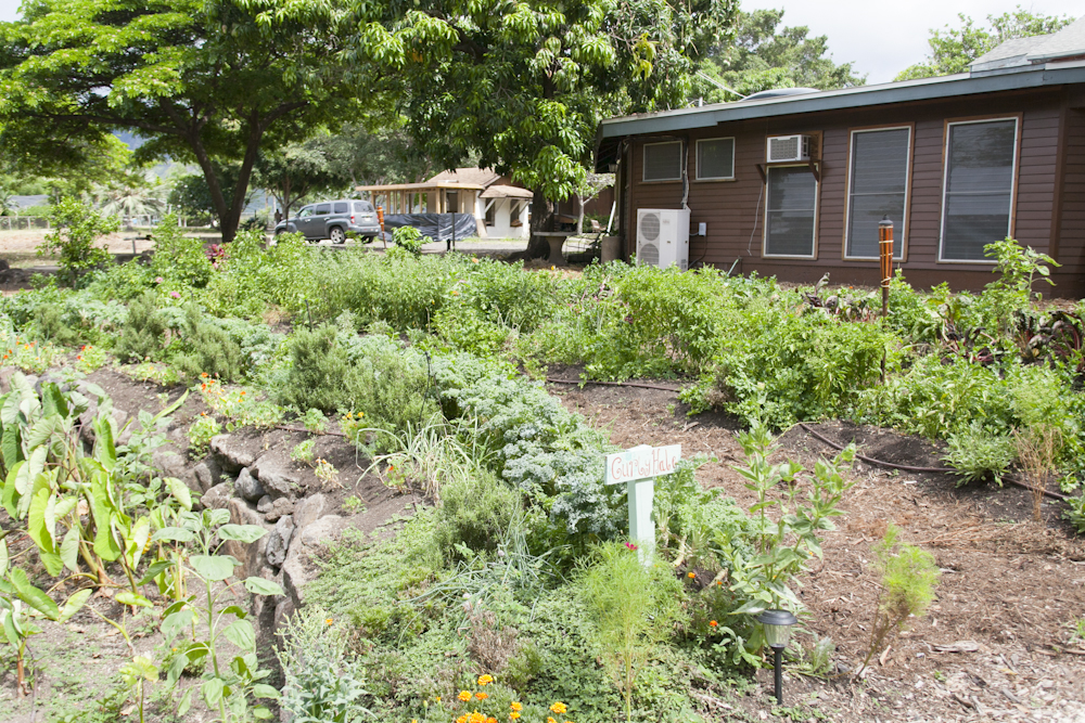 カフマナ・オーガニック・ファーム & カフェ／Kahumana Organic Farm & Cafe