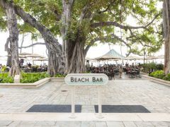 ザ・ビーチ・バー／The Beach Bar