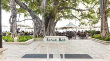 ザ・ビーチ・バー／The Beach Bar