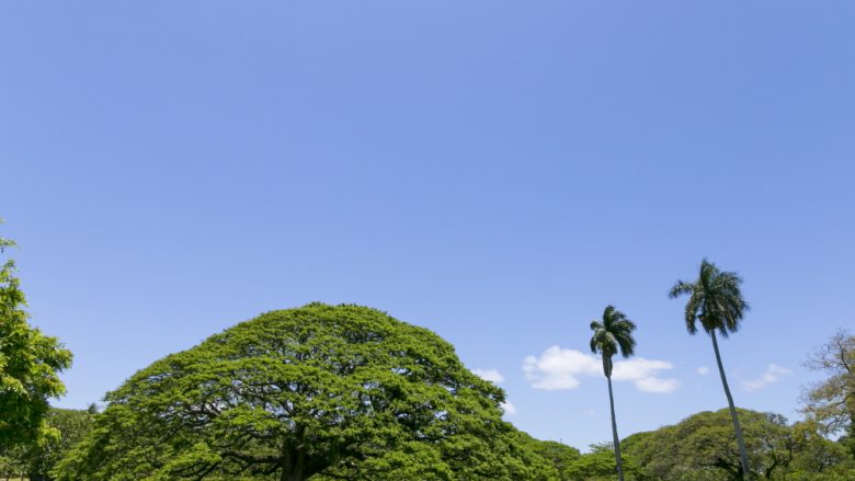 歴史上のできごとを知るとより楽しめる「オアフの聖地」