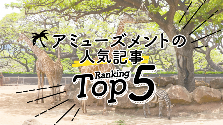 アミューズメントの人気ランキングTOP5