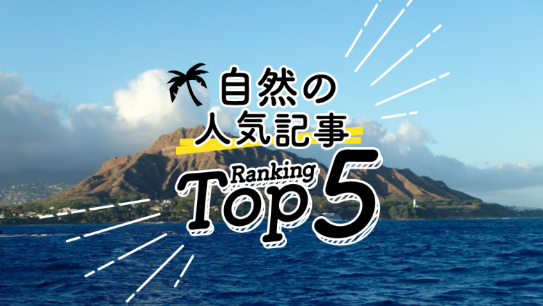 ハワイの「自然」人気ランキングTOP5