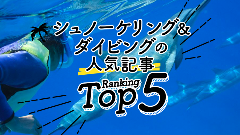 ハワイの「シュノーケリング＆ダイビング」人気ランキングTOP5