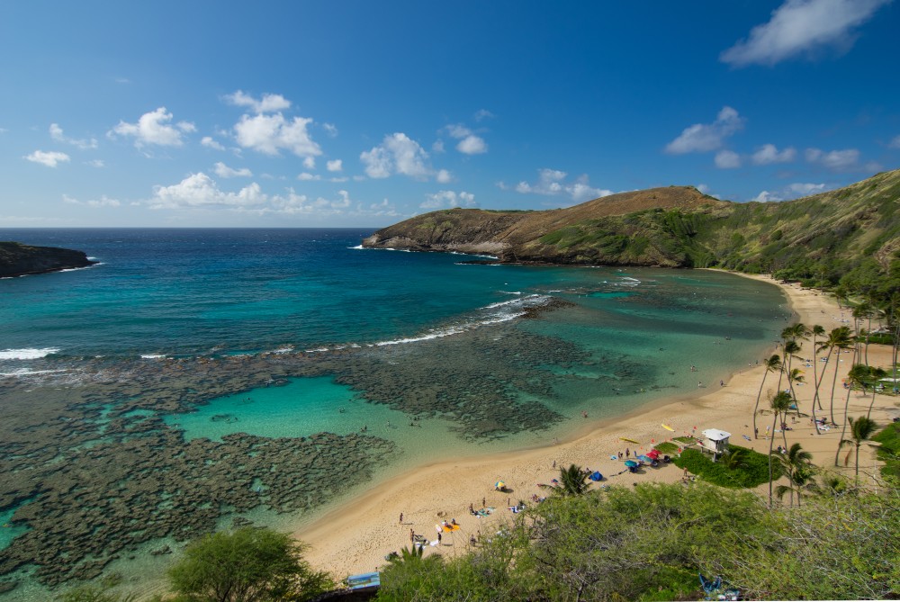 今年は「国際サンゴ礁年」ハワイのサンゴを守るために旅行者に