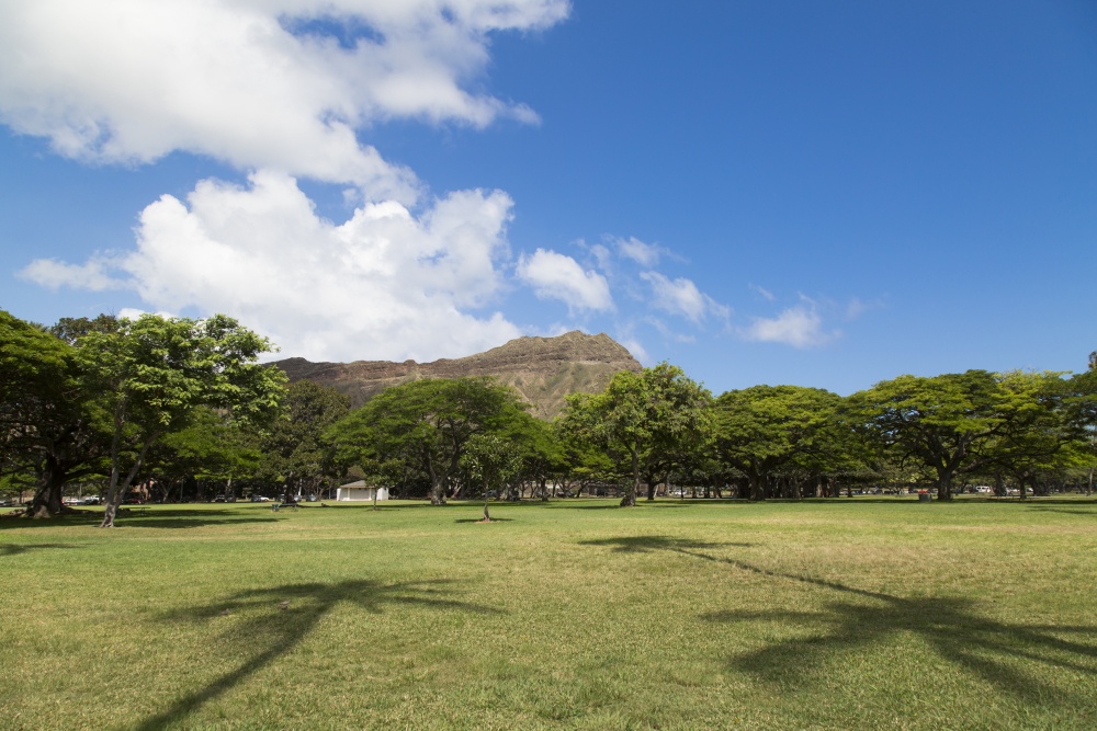 カピオラニ公園／Kapiolani Park