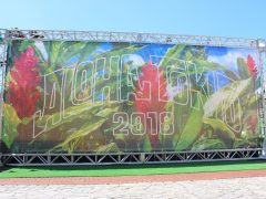 アロハ・トーキョー2018レポート♪次回の開催予定は？