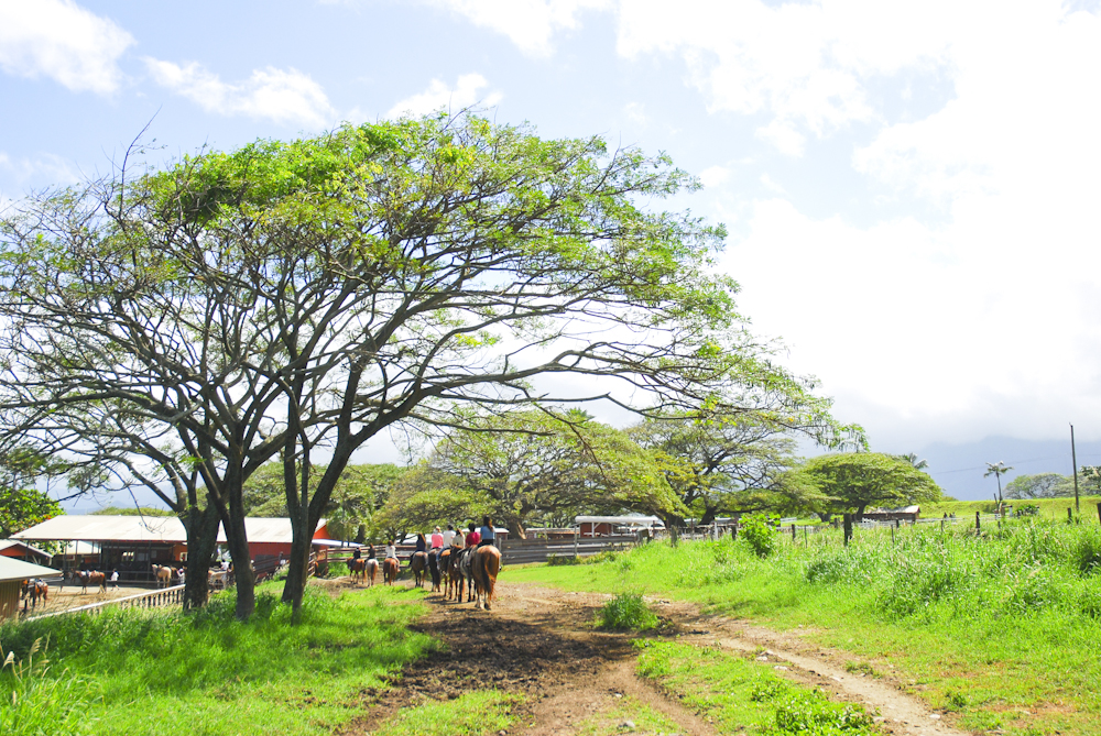 クアロアランチ／Kualoa Ranch