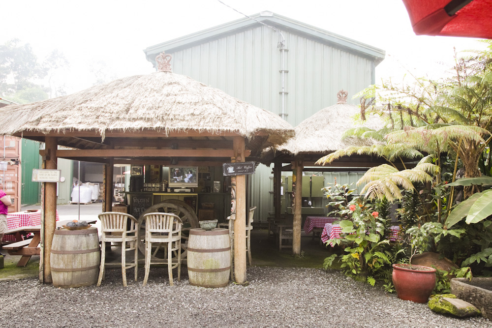 マウンテン・サンダー・コーヒー／Mountain Thunder Coffee Plantation