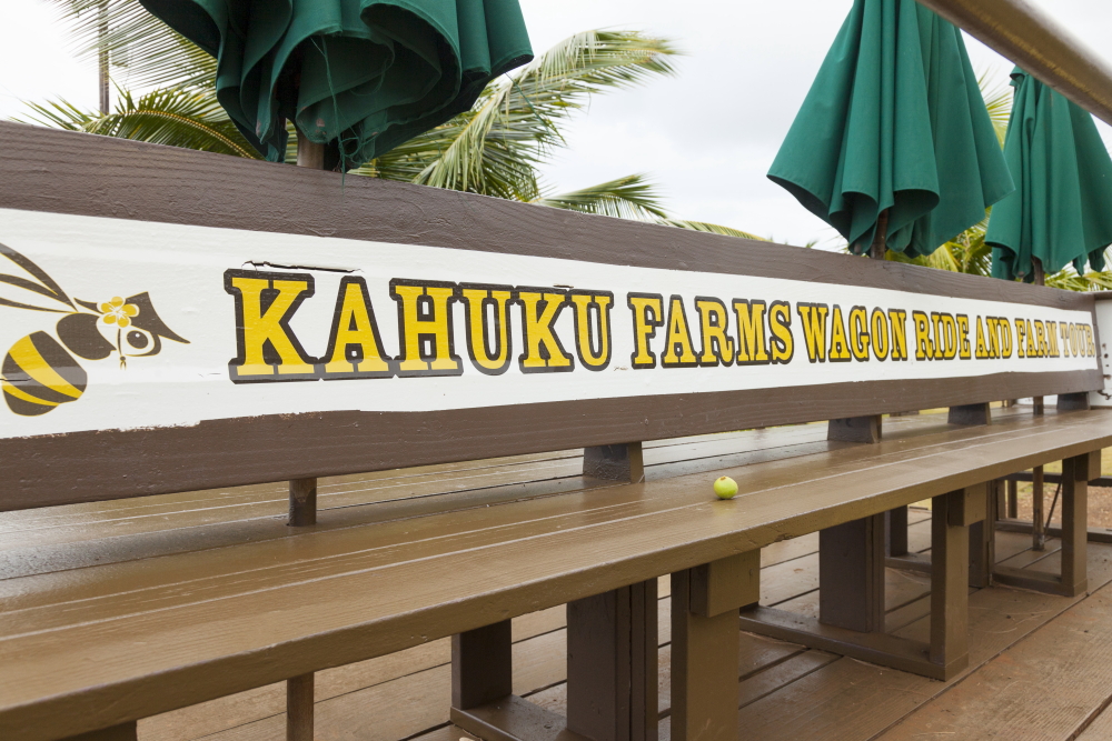 カフクファーム／Kahuku Farms