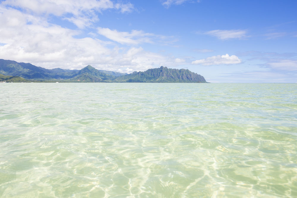 キャプテンブルース・天国の海ツアー／Captain Bruce Kaneohe Sandbar Tour