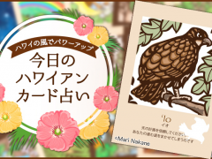 2018年7月9日のハワイアンカード占い