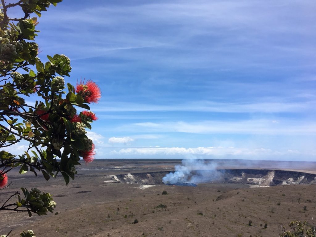 オアフだけはもったいない ハワイの離島をenjoyしよう ハワイの最新情報をお届け Lanilani