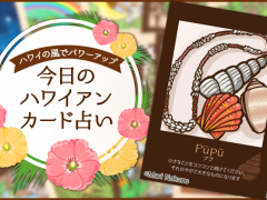 2018年7月25日のハワイアンカード占い