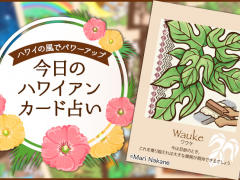 2018年7月30日のハワイアンカード占い