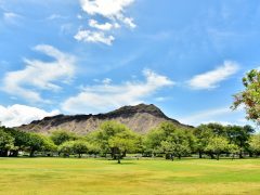 ロコのランチみたいに♪カピオラ二公園で食べたいテイクアウトのお店3選