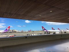 【2022年～】トラブルで飛行機に間に合わない！こんな時どうしたらいい？ハワイ通ライターが徹底解説