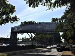 LaniLaniハワイ女子ゴルフ部発！1月はソニーオープンに行こう！