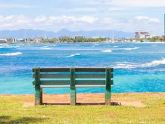 ロコに混ざってのんびり過ごす♪ ピクニックが楽しめる公園特集
