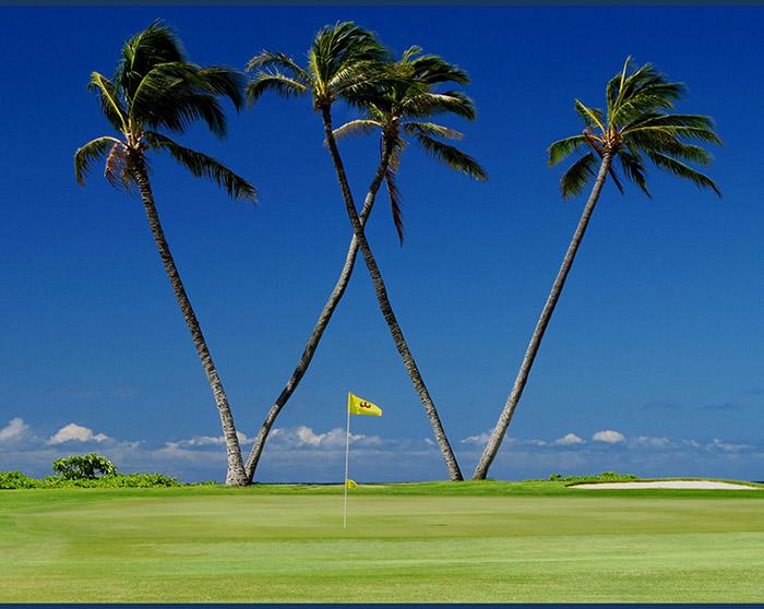 Lanilaniハワイ女子ゴルフ部発 1月はソニーオープンに行こう ハワイの最新情報をお届け Lanilani