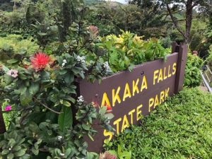ハワイ島癒しの旅。アカカフォールズで心とカラダをリフレッシュ！！
